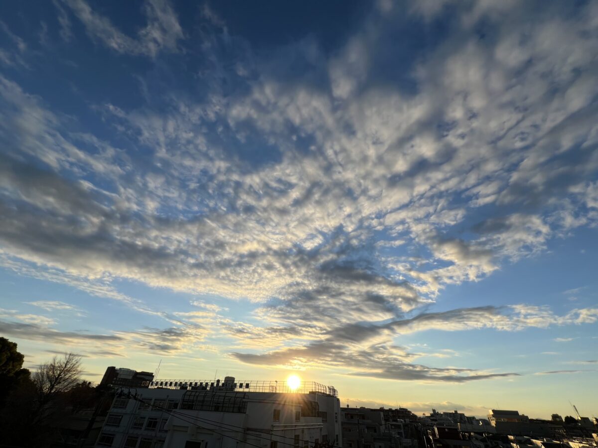 年末年始の休診